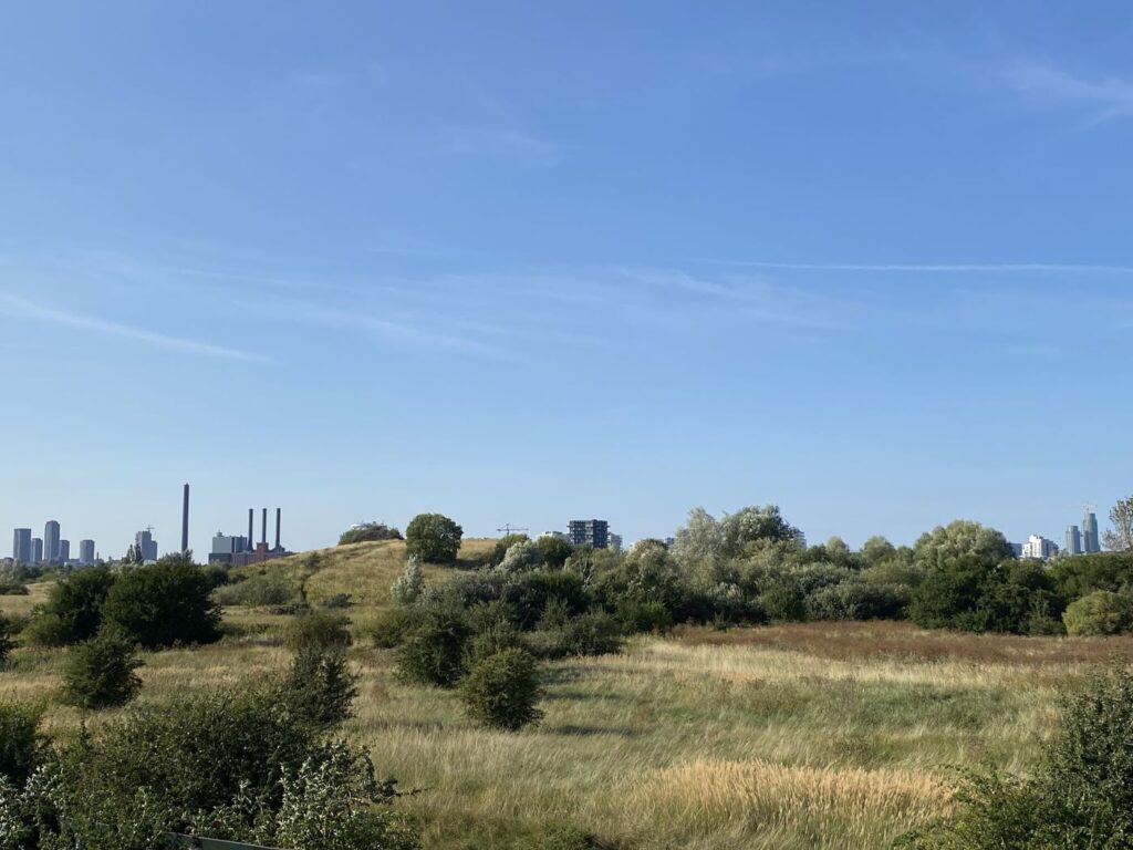 Study tour on Bike med Tech2Tech i København 2024 -naturen omkring Fælledby