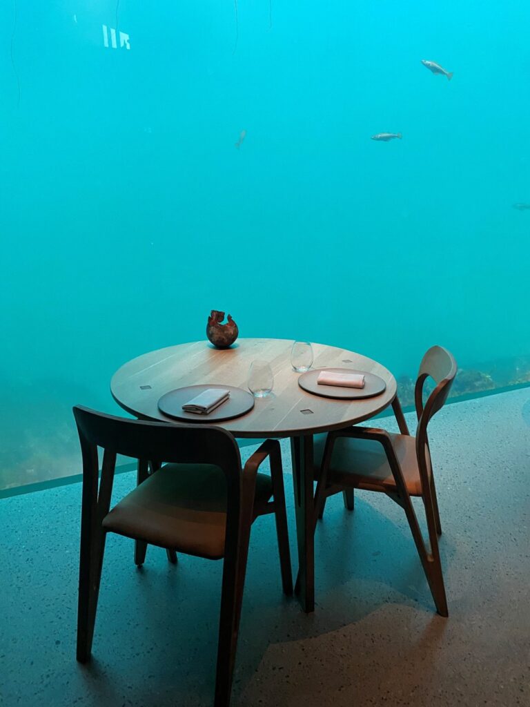 Restaurant Under i Norge med Tech2Tech